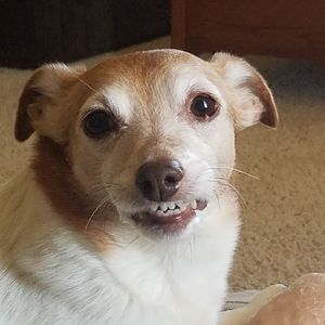 Meet your Posher, Julie